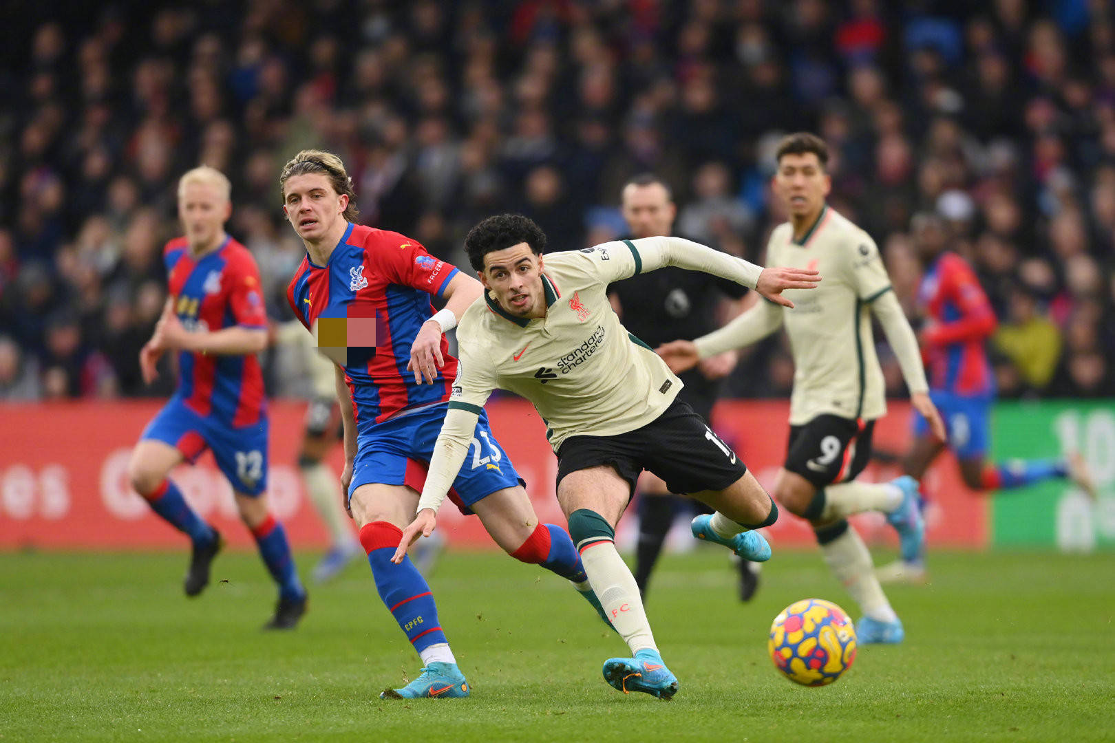 显得尤为重 显得尤为重